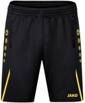 Jako Shorts 8521803