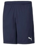 Puma Shorts Teamrise Training