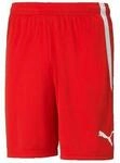 Puma Shorts Shorts TeamLiga Performance Rouge