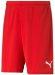 Puma Shorts Teamrise Short