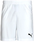 Puma Shorts ESS ACTIVE WOVEN SHORT