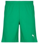 Puma Shorts TEAMRISE MATCHDAY