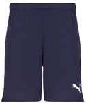 Puma Shorts TEAMRISE MATCHDAY