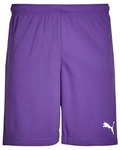 Puma Shorts ESS ACTIVE WOVEN SHORT