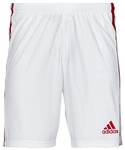 adidas Shorts SQUAD 21 SHO