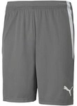 Puma Shorts Teamliga