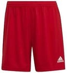 adidas Shorts Short Entrada 22 rouge