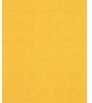 Bosch EXPERT C470 Schleifpapier zum Handschleifen, 230 x 280 mm, K 240...