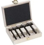 Bosch EXPERT Wood Forstnerbohrersatz, 5-tlg.