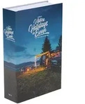 ABUS Book Safe - Mini-Safe in Buchform