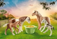 Playmobil 71000, Playmobil 71000 - 2 Island Ponys mit Fohlen (Country)