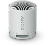 Sony SRSXB100H.CE7, Sony SRS-XB100 grau