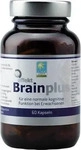 PZN-DE 07503135, Apozen Brain Plus 60 Kapseln - Mikron&auml;hrstoffkomplex f&uuml;r eine