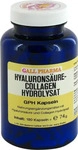 PZN-DE 09323845, Hecht Hyalurons&auml;ure-Collagen Hydrolysat Gph 180 Kapseln - Zur
