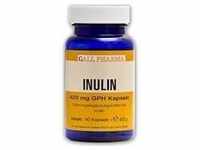 PZN-DE 07603440, Hecht Inulin 420 mg GPH 90 Kapseln - Nahrungsergänzungsmittel,