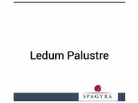 PZN-DE 11282504, Spagyra Ledum Palustre C 200 Globuli - Homöopathisches
