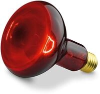 BEURER GmbH Beurer Gl&uuml;hbirne Infrarotlicht 100w 1 St&uuml;ck - 1 St&uuml;ck 01972923