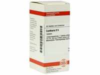 PZN-DE 04210125, Cantharis D 5 Dhu 80 Tabletten - Homöopathisches Arzneimittel