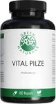 PZN-DE 18603259, Green Naturals Vital Pilze Cordyceps Reishi Vegan 180 Kapseln -
