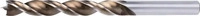 Alpen-Maykestag HSS Maschinen-Holzspiralbohrer TIMBER TWIST, PLT, &Oslash; 4,5