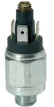 Riegler Druckschalter, Wechselkontakt, Stahl ver., 42 V, G 1/4, 1-10 bar