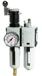 Riegler Wartungseinheit 2-tlg. &raquo;FUTURA&laquo;, PC, BG 1, G 1/4, 0,1 - 2 bar, VA