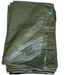 Rainexo - Abdeckplane gr&uuml;n, 90g/qm, 8x12m