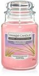 Yankee Candle Duftkerze Gro&szlig;es Glas Pink Island Sunset 538 g, rosa