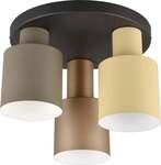 Trio Leuchten LED-Deckenleuchte Agudo E27 schwarz Metall