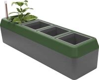 BioGreen Fensterbank-Kr&auml;uterbeet Provence Kunststoff 42 x 12 x 11 cm grau-gr&uuml;n