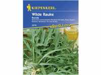 Kiepenkerl Rucula Wilde Rauke ca. 100 Pflanzen GLO693108987