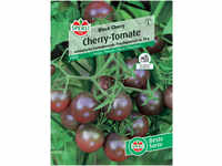 Sperli Cherry-Tomate Black Cherry GLO693109486