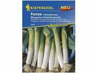 Kiepenkerl Porree Blaugrüner Herbst Lancelot Allium porrum, Inhalt: ca. 100...