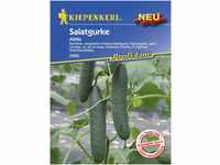 Kiepenkerl Salatgurke Akito Cucumis sativus, Inhalt: ca. 6 Pflanzen GLO693108201