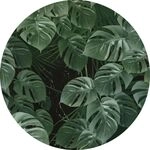Komar Vlies Fototapete Dot Novel Monstera &Oslash; 125 cm, selbstklebend