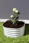 Vitavia Hochbeet Terra Rund 82 x 82 x 40 cm aluminium
