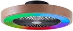 Brilliant LED Deckenleuchte mit Ventilator Slimline &Oslash; 49 cm 40 W...