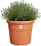 Elho Blumentopf Algarve Cilindro &Oslash; 25 x 21 cm terra