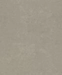 Rasch Vliestapete 315158 Braun-Hellbraun Uni 10,05 m x 0,53 m
