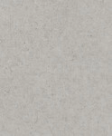 Rasch Vliestapete 520866 Grau-Mittelgrau Uni 10,05 m x 0,53 m