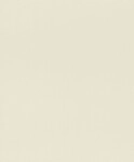 Rasch Vliestapete 752625 Beige-Hellbeige Uni 10,05 m x 0,53 m
