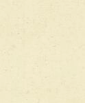 Rasch Vliestapete 520842 Beige-Warmbeige Uni 10,05 m x 0,53 m