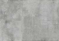 Rasch Vlies Fototapete 364255 Grau-Betongrau Muster & Motive 3 m x 4,24 m