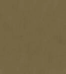 Rasch Vliestapete 751079 Braun-Goldbraun Uni 10,05 m x 0,53 m