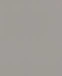 Rasch Vliestapete 752649 Grau-Hellgrau Uni 10,05 m x 0,53 m