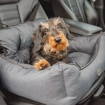 Nobby Autositz Kadek f&uuml;r Hunde 55 x 50 x 34 cm dunkelgrau