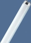 Osram 04008321331984, Osram Leuchtstoffr&ouml;hre G13 58W kaltwei&szlig;, dimmbar, wei&szlig; matt