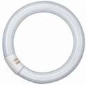 Osram Leuchtstoffr&ouml;hre Lumilux Ringleuchte G10q 40W neutralwei&szlig;, wei&szlig; matt