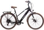 Schiano E-Bike Trekking 28 Zoll 8-Gang 418 Wh schwarz