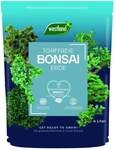 Westland Bonsai Erde torffrei 4 L